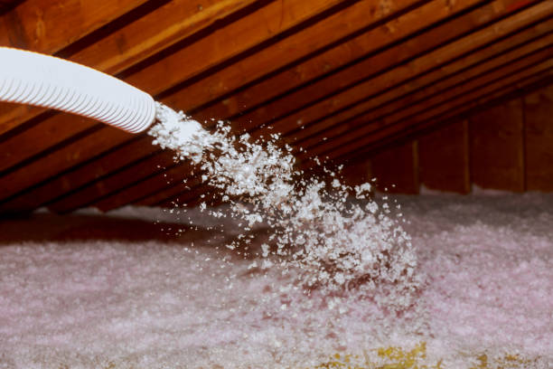 Types of Insulation We Offer in Wayland, MI
