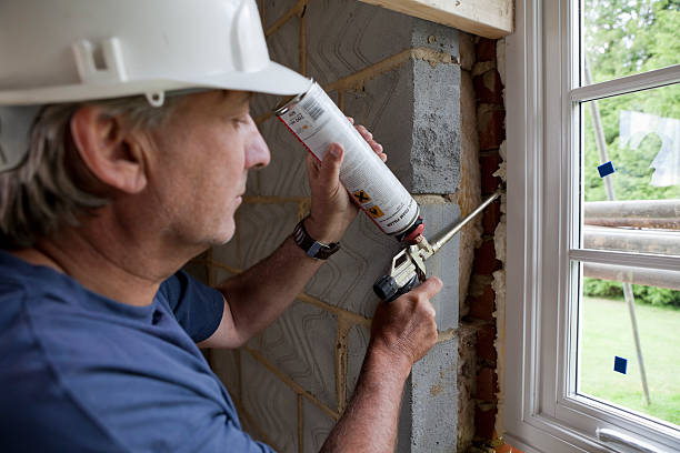 Best Eco-Friendly Insulation in Wayland, MI