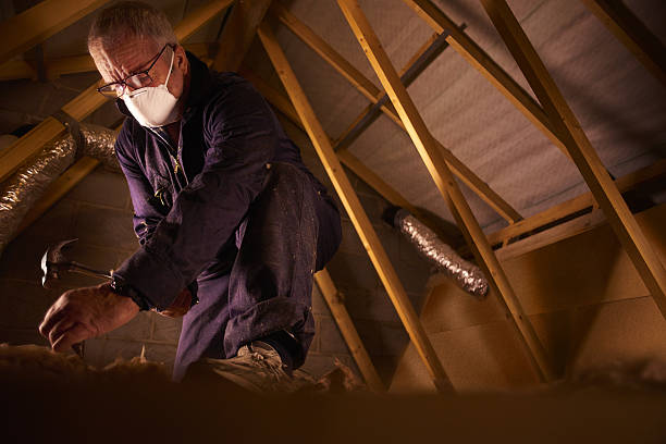 Professional Insulation Contractor in Wayland, MI